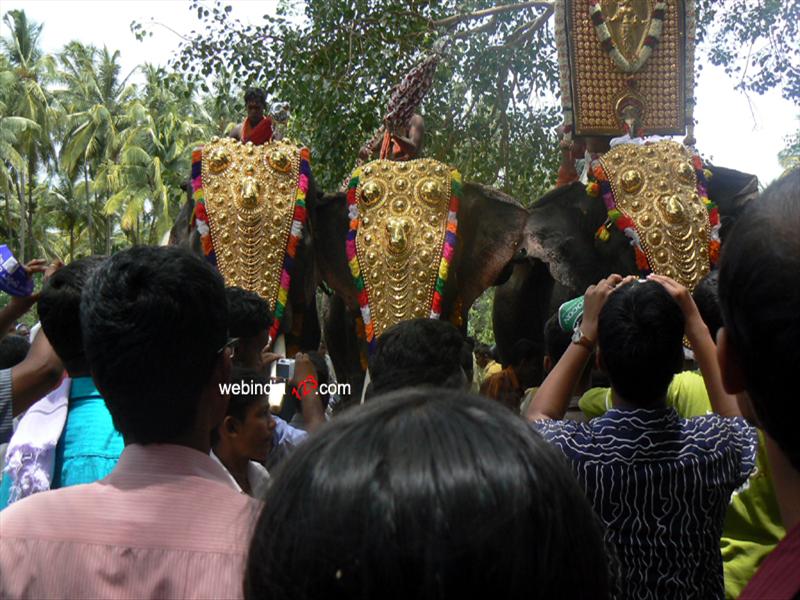 Elephants at Nenmara