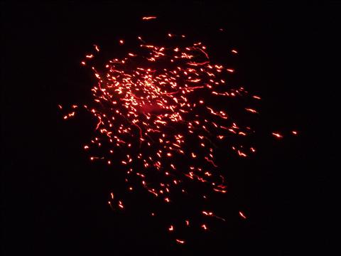 Firework Rangoli in sky