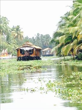 Backwaters of Aleppy in Kerala
