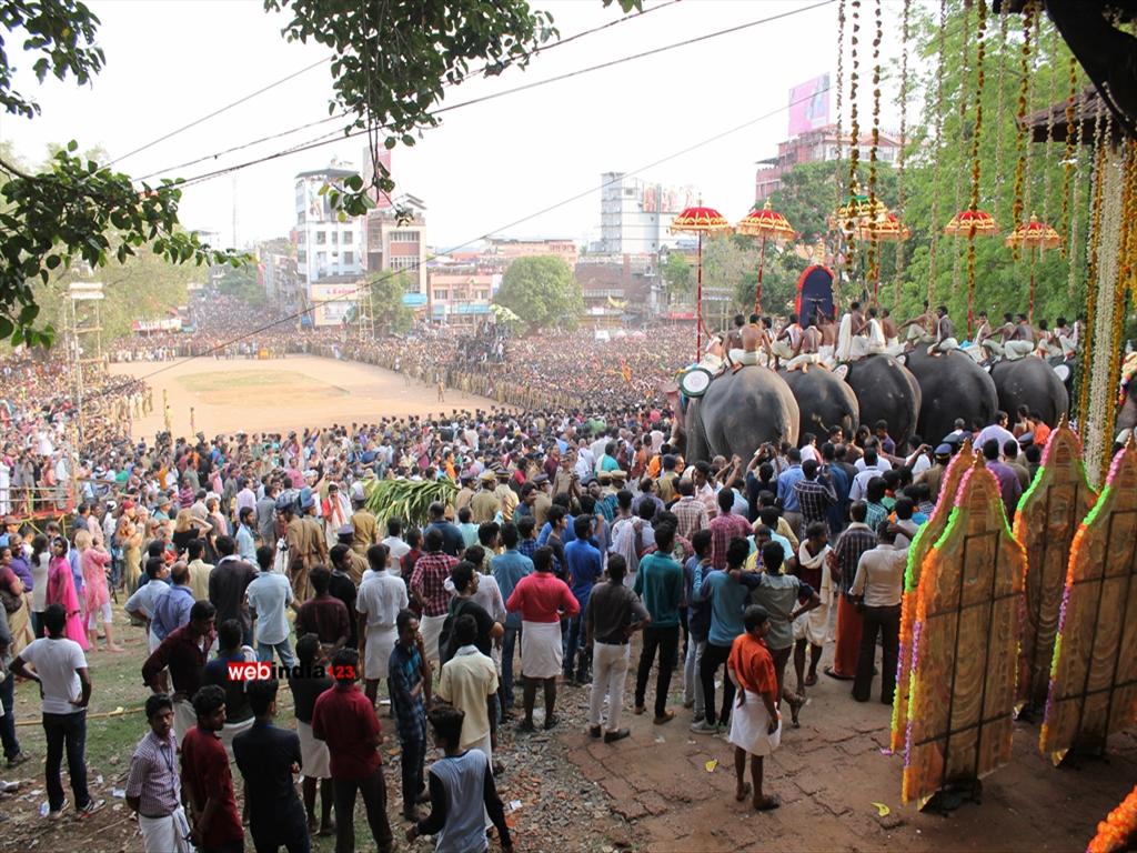 Thrissur Pooram - 2015