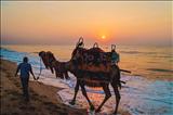 || SUNRISE AT PURI BEACH || - SATHI CHAL CHALA CHAL...