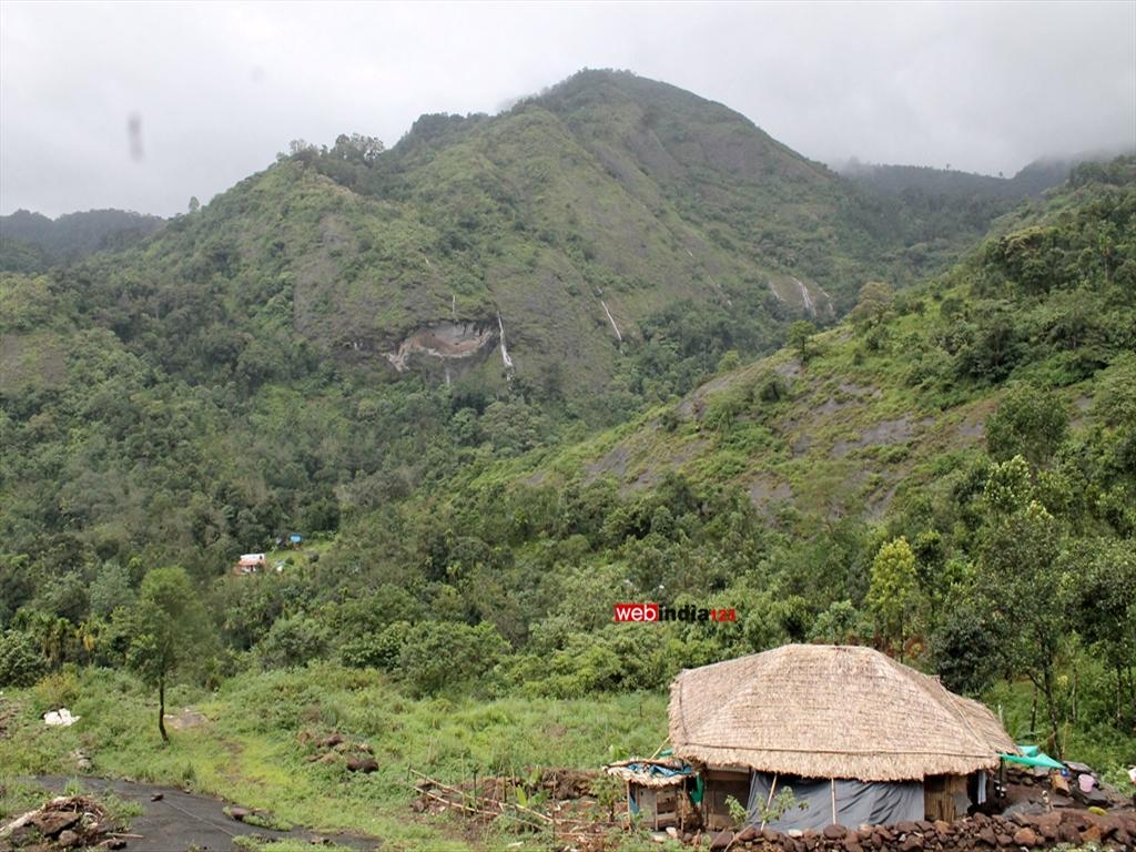 Mankulam, close to Munnar