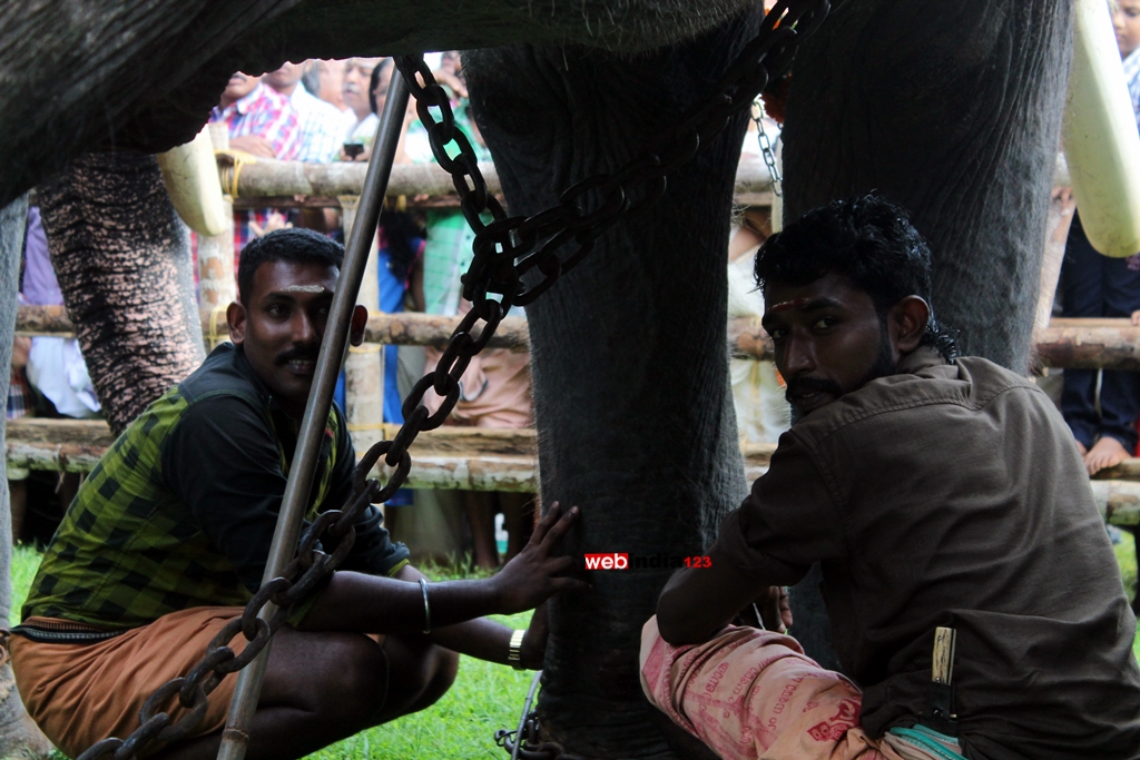 Elephant Mahouts at Vadakkumnathan Temple, Thrissur