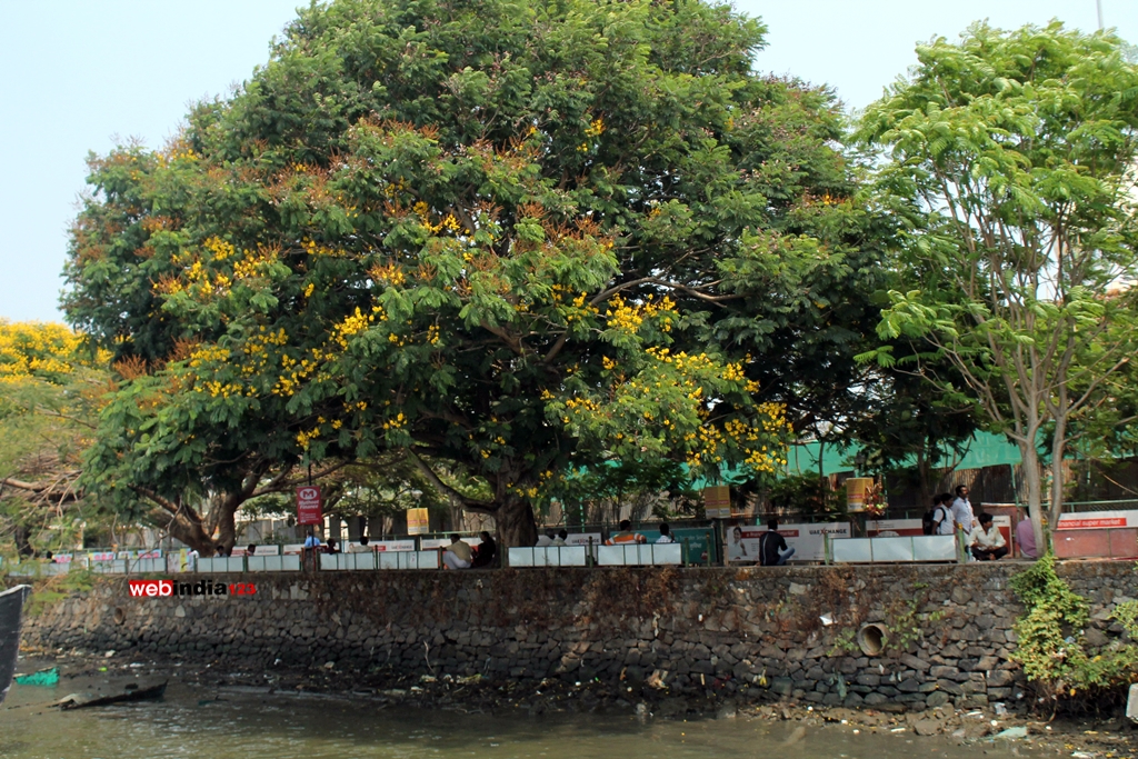 A view from Marine Drive Kochi