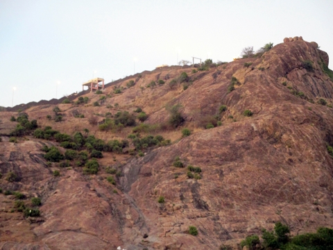 Palani Hills