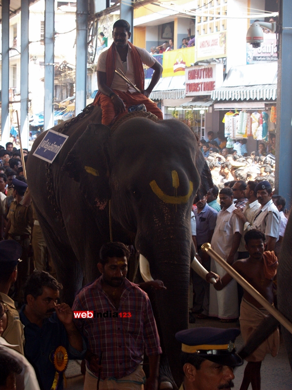 Elephant at Guruvayoor Temple