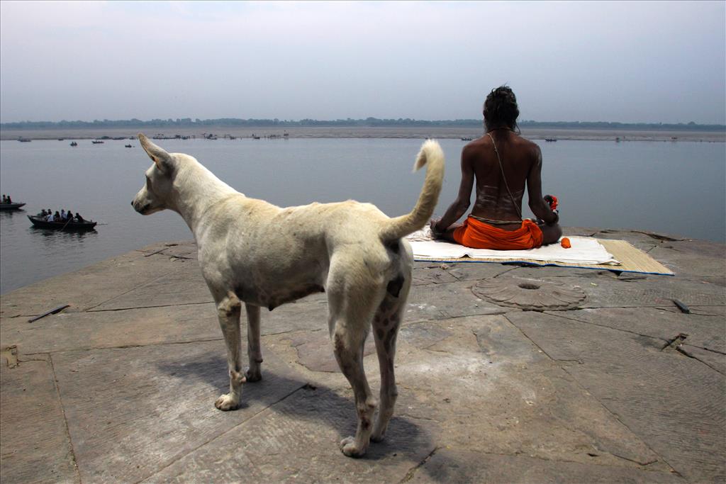 A sadhu doing mediation at Ganga River Varanasi .
