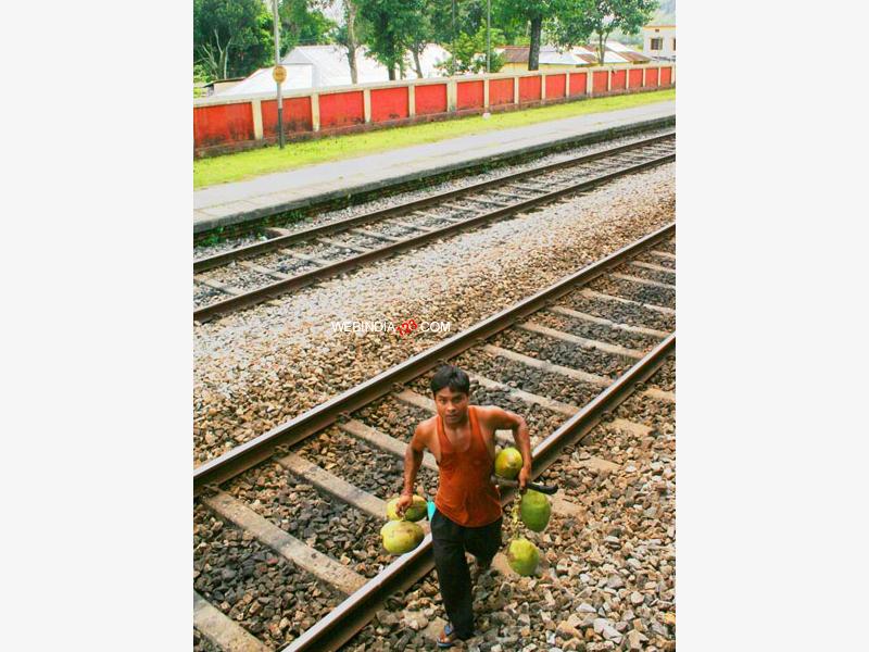 Coconut Seller