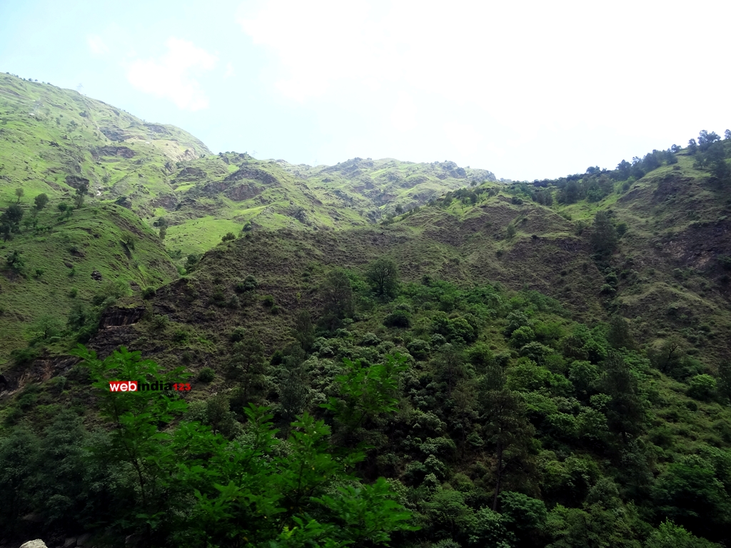 Manali, Himachal Pradesh