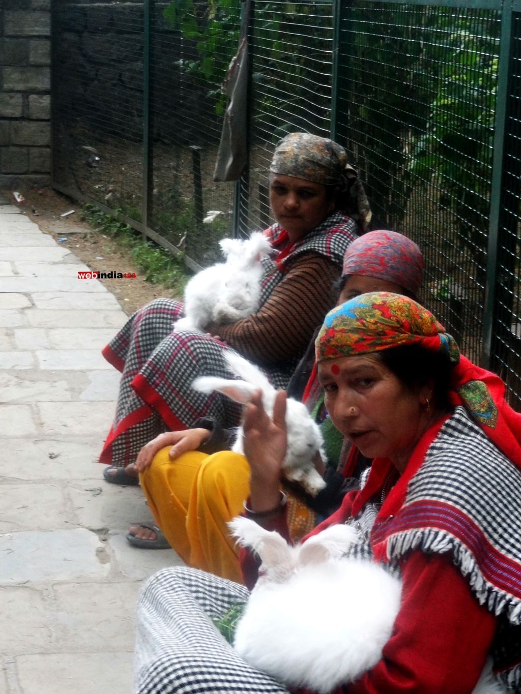 Women With Angora Rabbits At Hadimba Manali