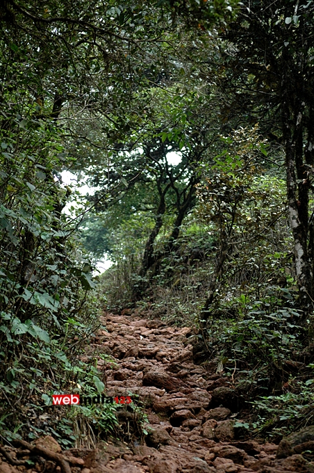 Kodachadri trek route