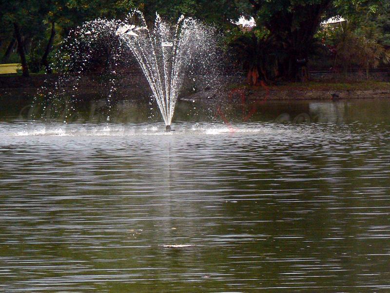 Fountain at Taj Garden Retreat, Kumarakom