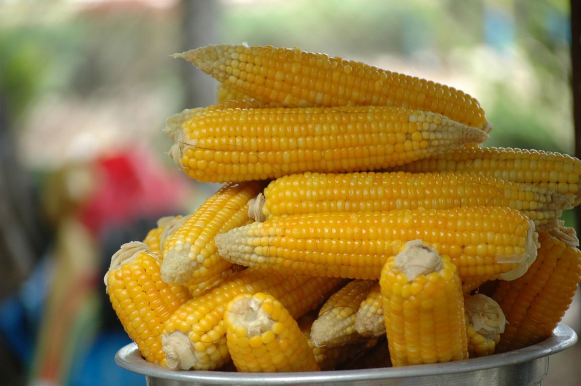 Steamed corn