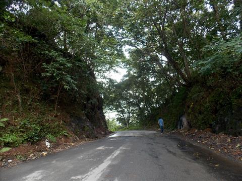 Munnar Chinnakanal Road