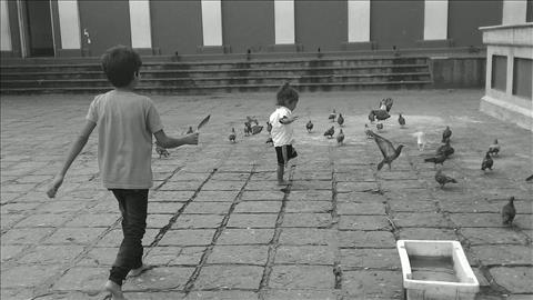 Kids and Birds