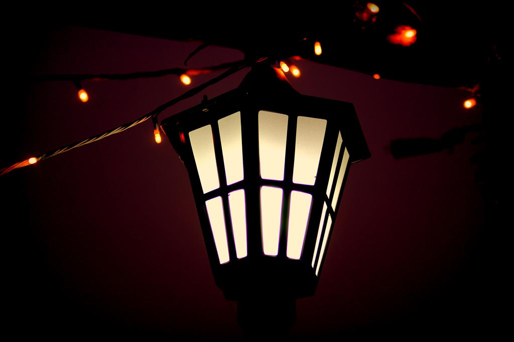 Light in the Dark