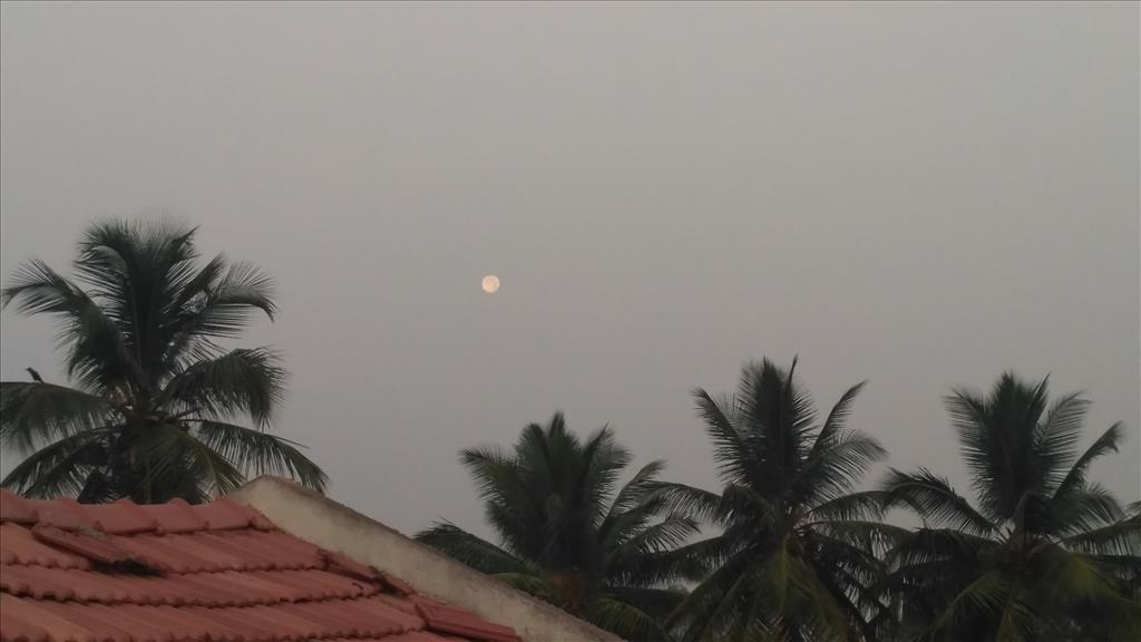 Moon in morning