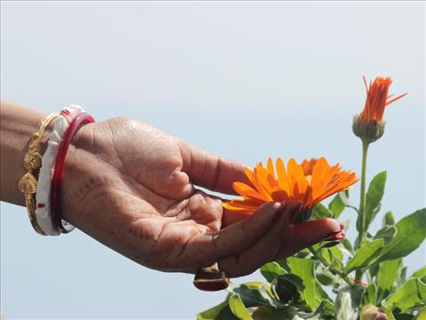 Touch+of+Tradition