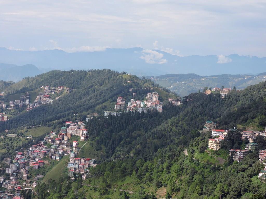 Shimla