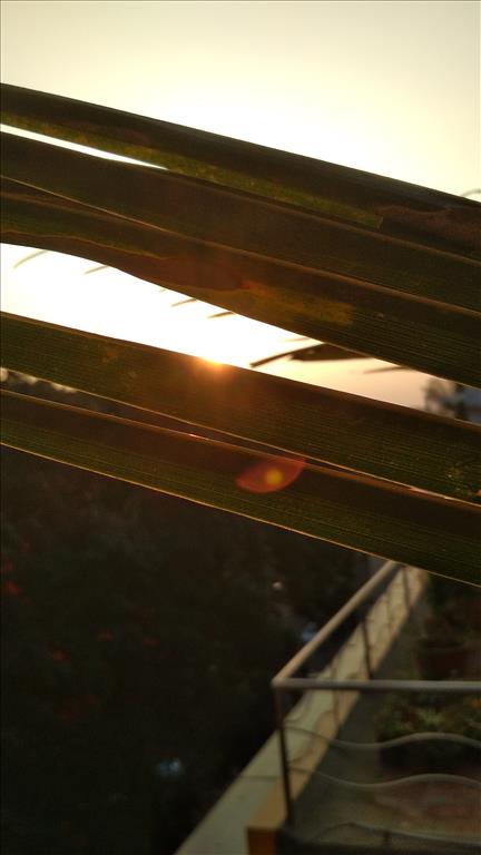 Nature and sun