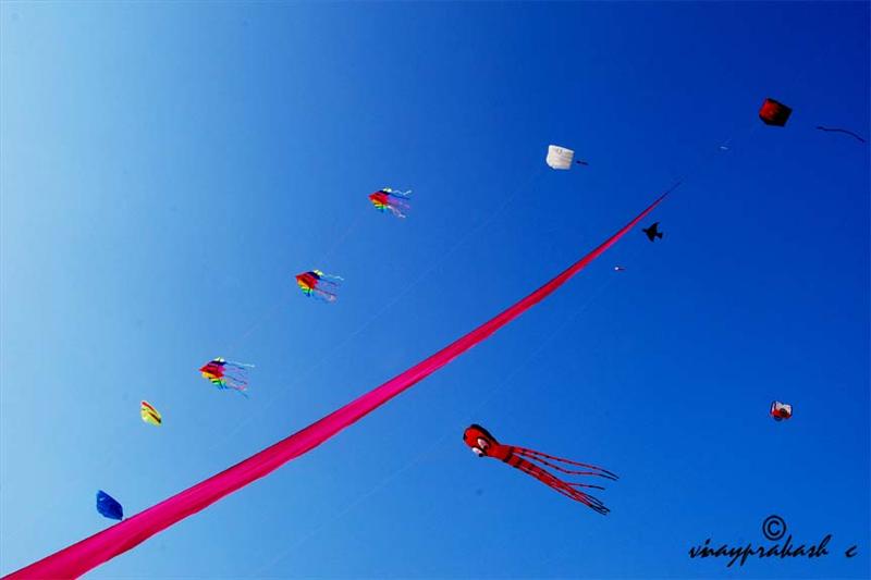 Kite`s In The Sky