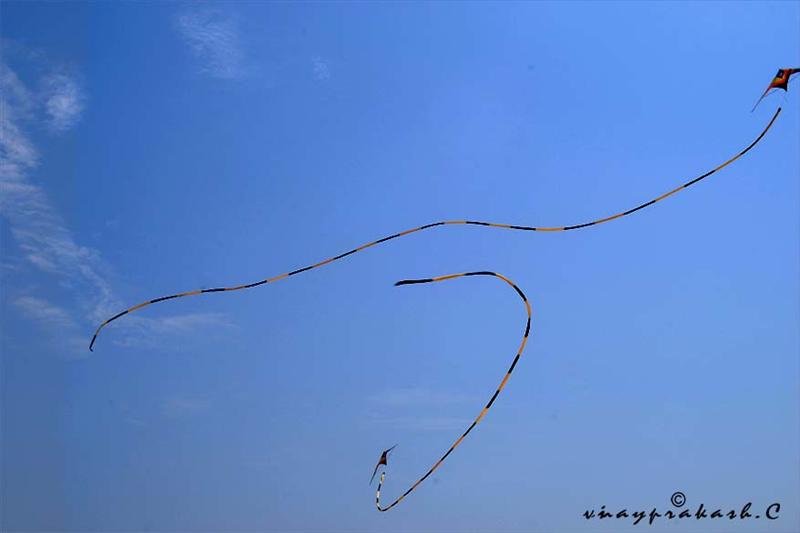 Kite`s In The Sky