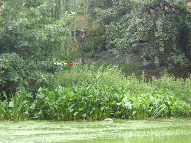 Conservatory Garden, New York