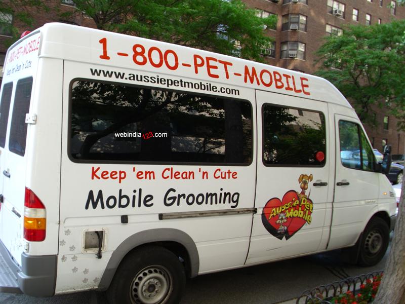 Pet Mobile, New York City