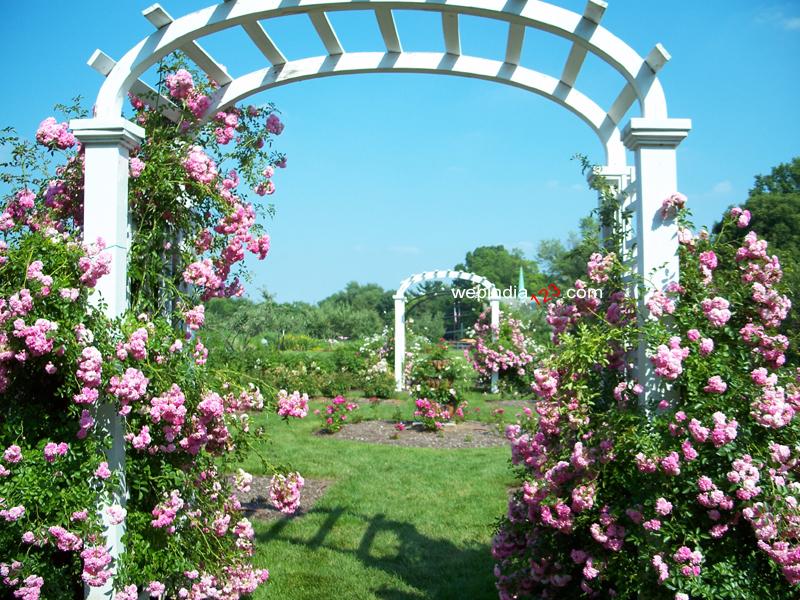 Ohio Garden