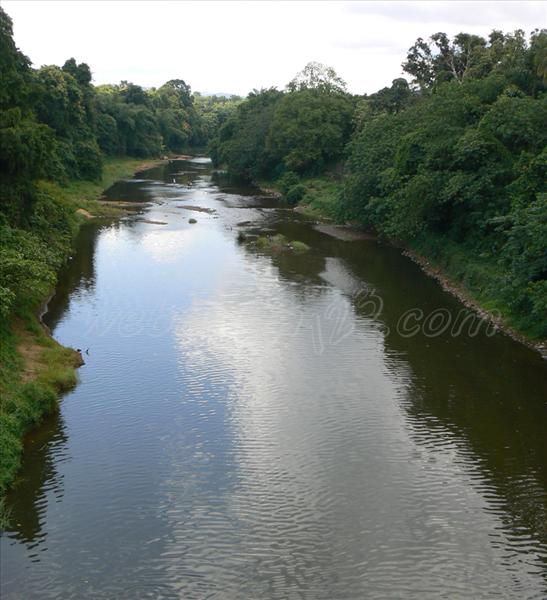 View of the Pampa River - Pathanamthitta- Kerala