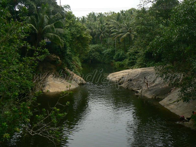 Pooyamkutti at Thiruvananthapuram, Kerala