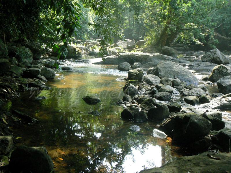 Thommankuthu Waterfalls - Kerala