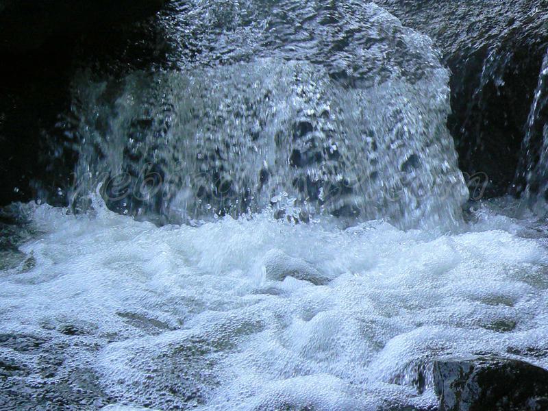 Thommankuthu Waterfalls - Kerala