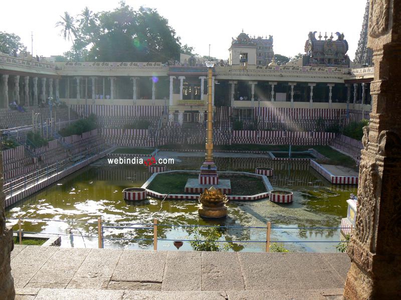 The Golden Lotus Tank, at Madurai Temple