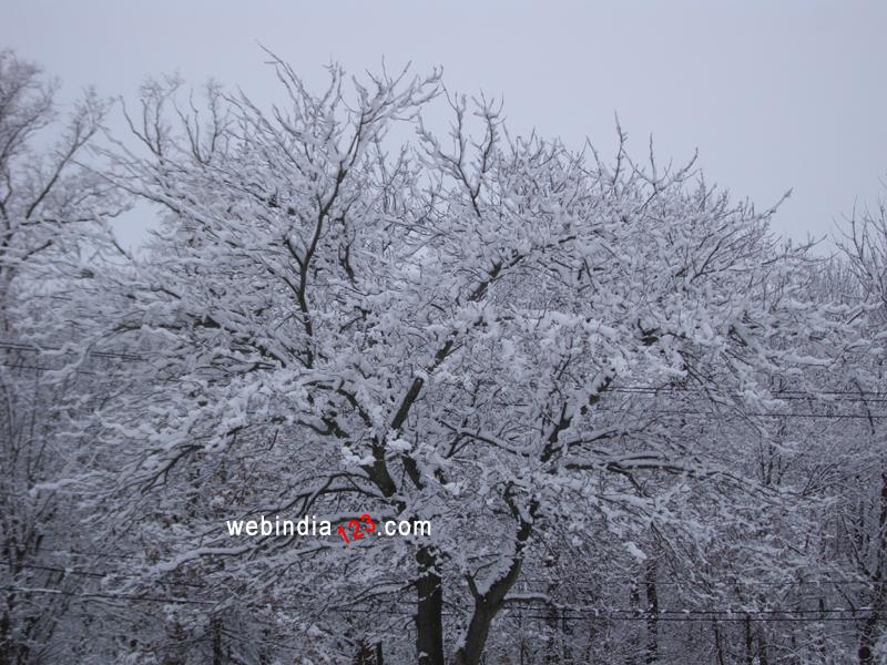 Winter in New Jersey