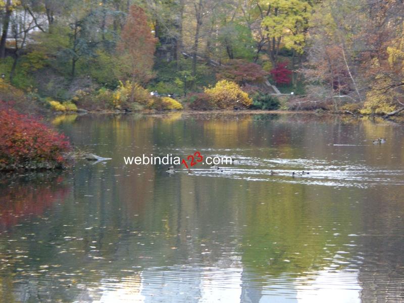The Central Park, New York