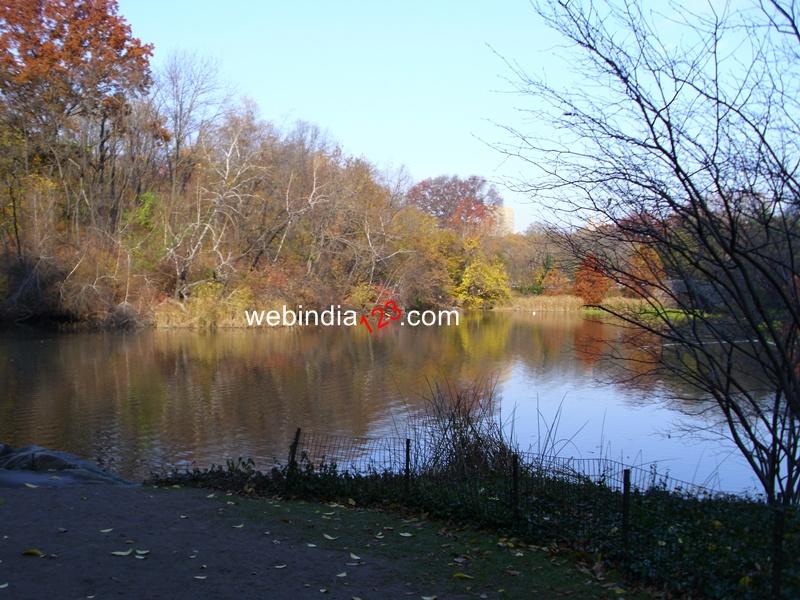 The Central Park, New York