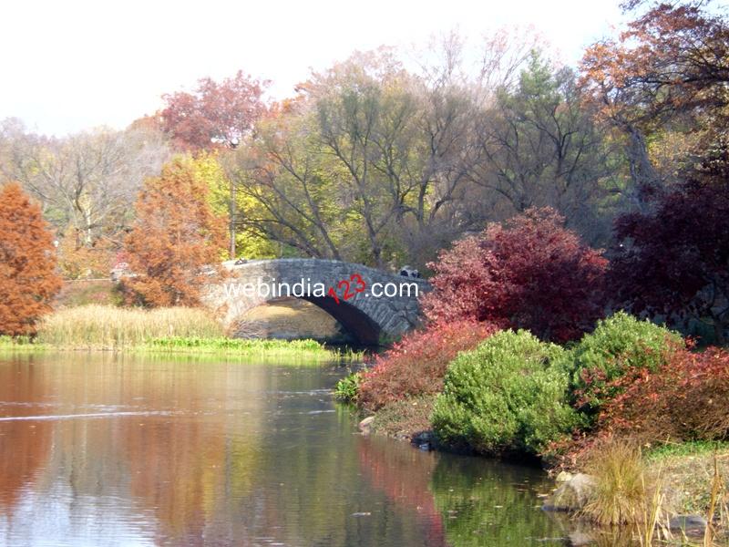 The Central Park, New York