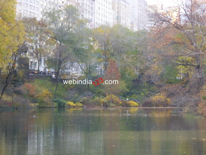 The Central Park, New York