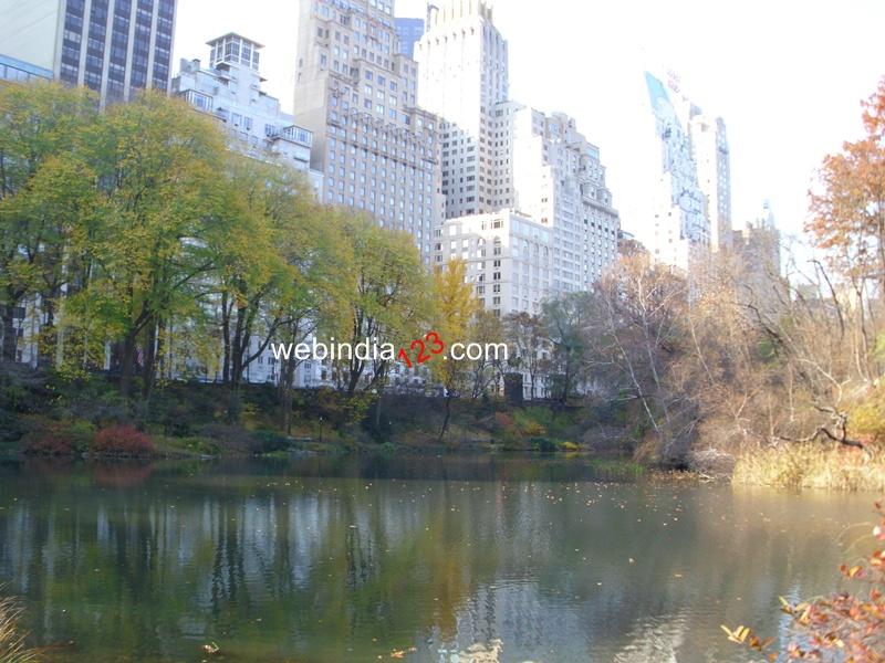 View from Central Park, New York
