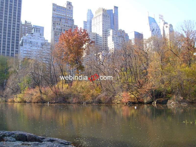 The Central Park, New York