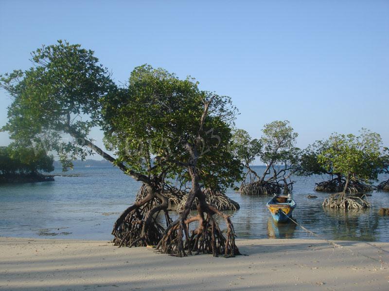Neil Island - Andaman