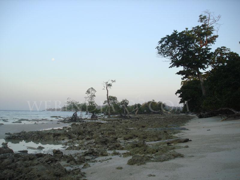 Neil Island - Andaman