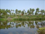 Bangaram Island, Lakshadweep