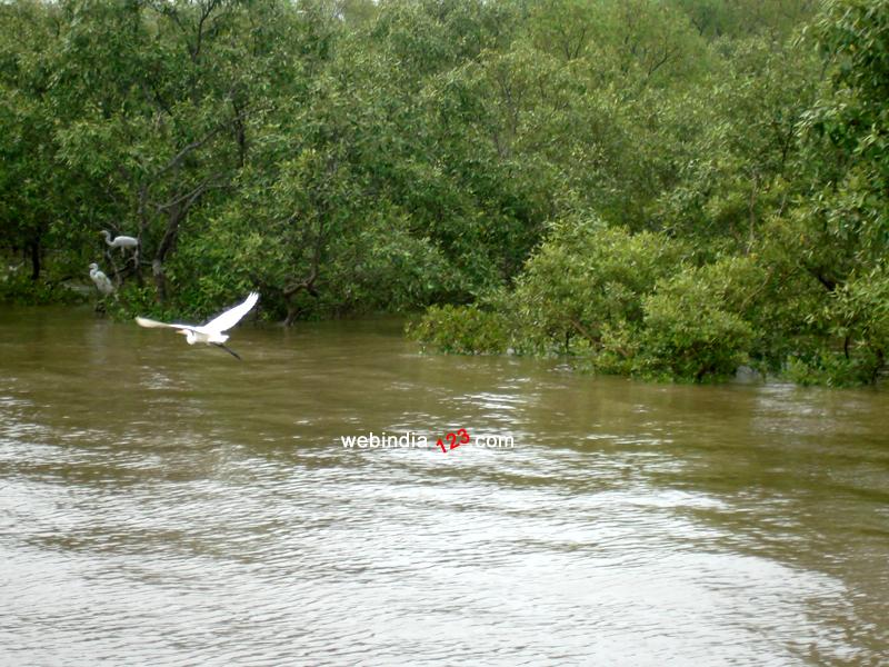 Chilka Lake