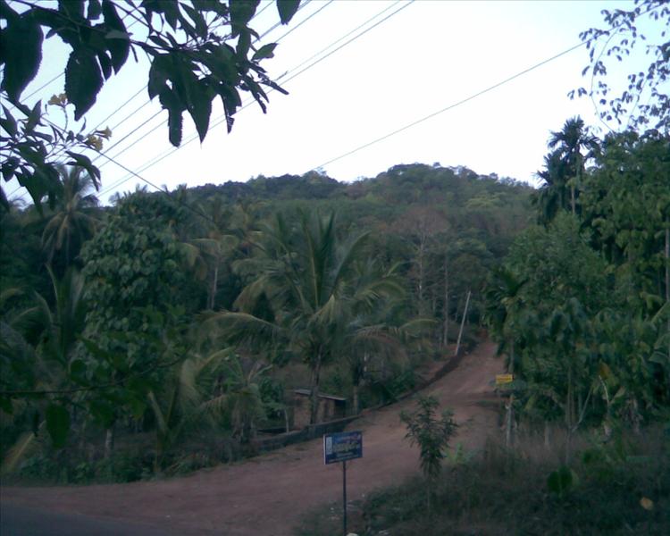 Choorithode, (Kakkachal)