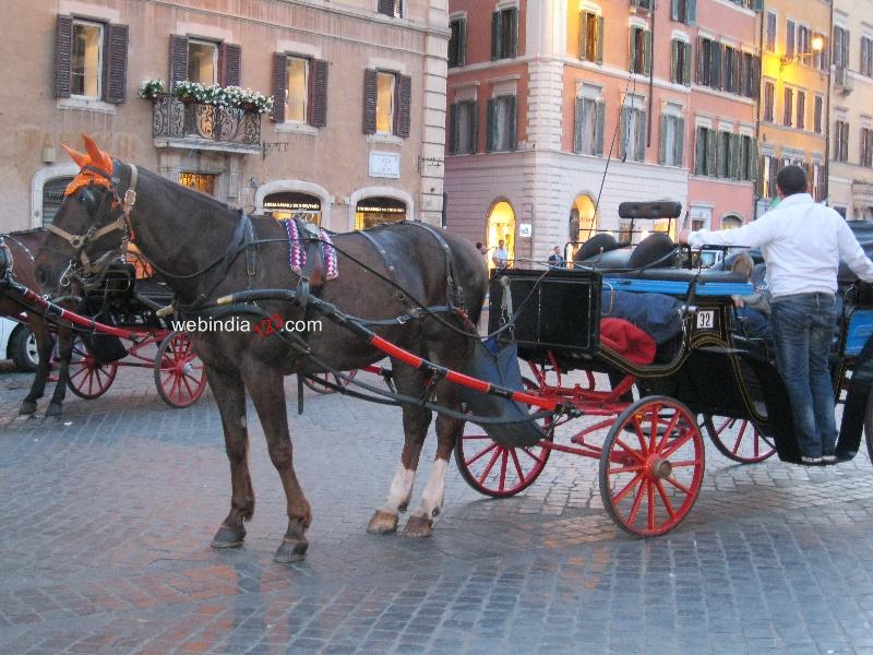 Horse Drawn Taxi in Rome Street View, Italy