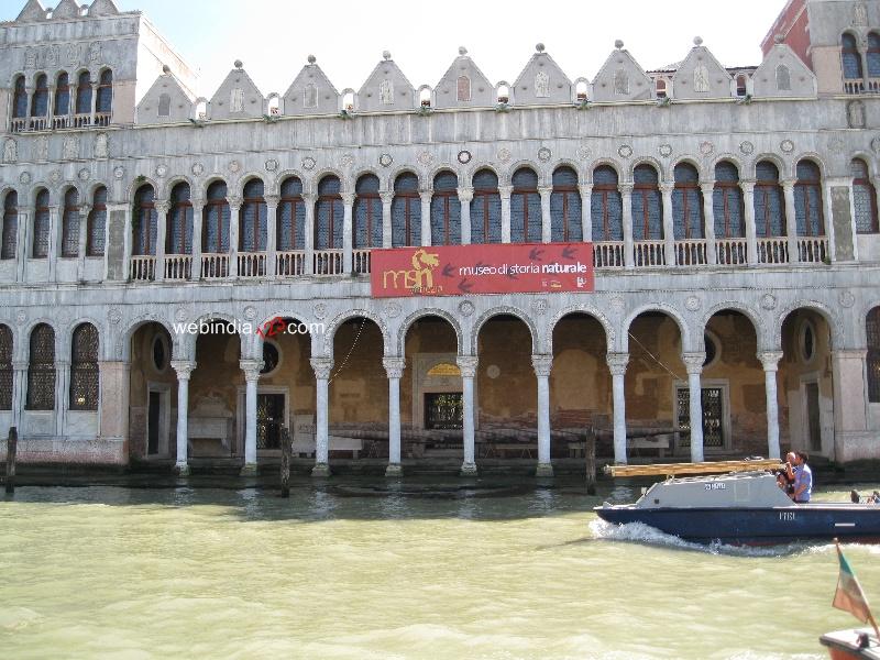 Museo di Storia Naturale di Venezia, Italy