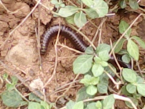 nature+%26funny