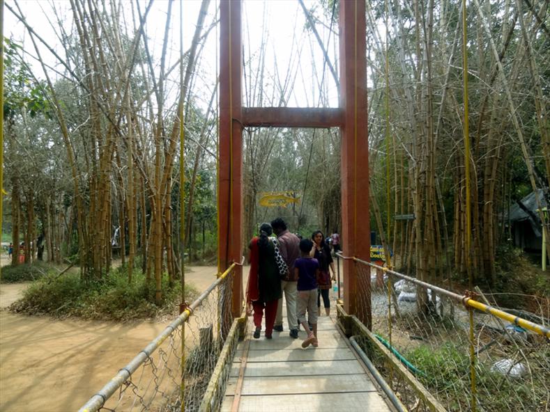 Hanging Bridge - Nisargadhama Bamboo Forest, Coorg